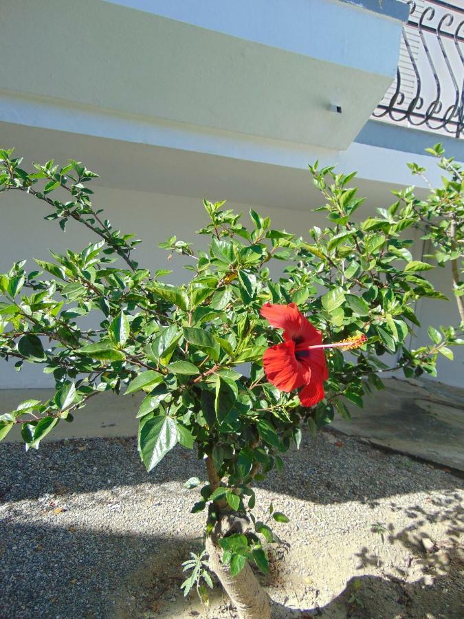 Villa Dora Faliráki Kültér fotó